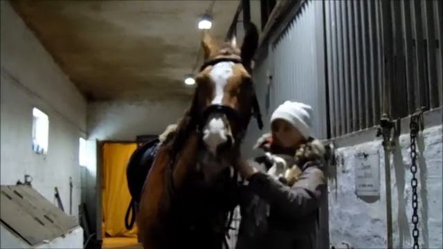 18 Декабря /*  Прыжковая тренировка _*