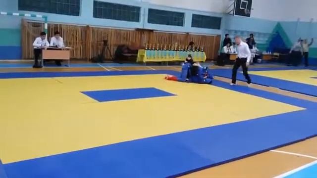 Джиу-джитсу область