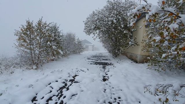 Снегопад...Упражнялки с лопатой, хорошая утренняя зарядка?????❄️