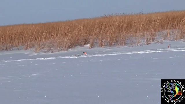 С жерлицами на первый лёд