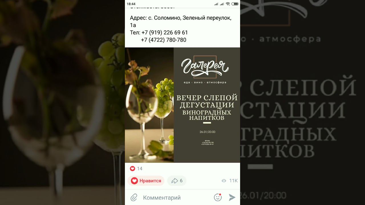 26.01.24 слепая дегустация вин)) Ресторан Галерея!