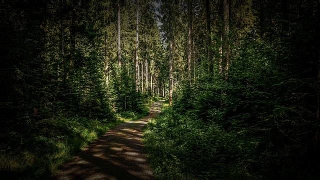 Истории из жизни ? Степан думал, что все будет как раньше, но жена его ошарашила ? Жизненные истори