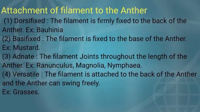 Floral Parts - Calyx, Corolla, Androecium and Gynoecium