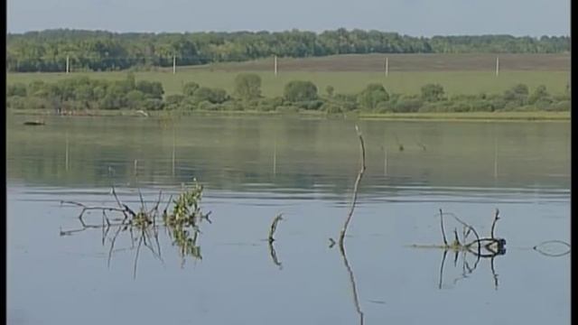 Рыбак рыбаку 266 "Ловля щуки на крепком пруду".