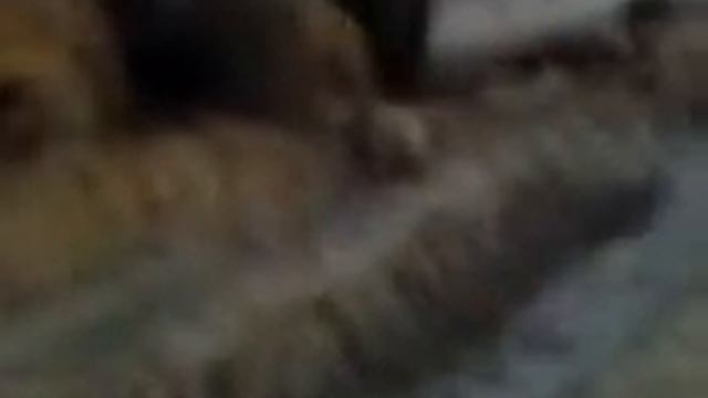 Рабочие будни вахтовиков...