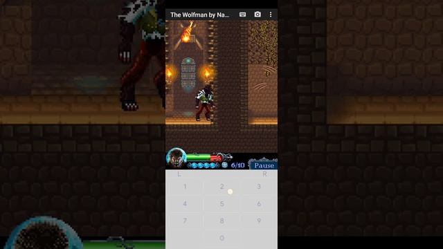 The Wolfman Java Game - Walkthrough - Level 4 : The Crypt Part 2