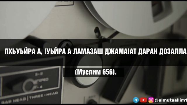 ПХЬУЬЙРА А, ӀУЬЙРА А ЛАМАЗАШ ДЖАМАӀАТ ДАРАН ДОЗАЛЛА(Муслим 656).Абу МуӀавия.