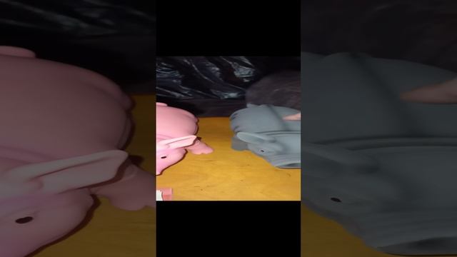VID_20231204_122620.mp4