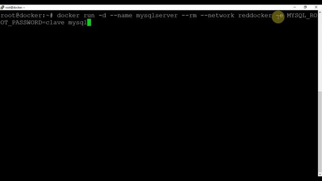 Curso Docker desde cero - Capitulo 18 Conectar contenedores entre si en redes personalizadas