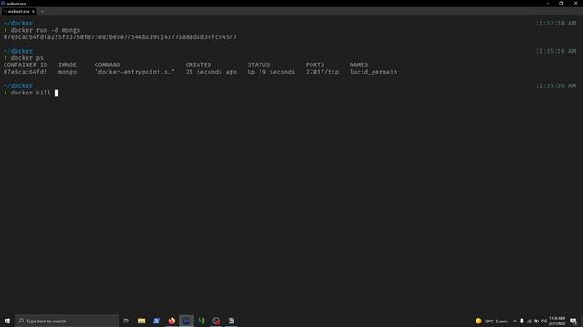 Docker for newbies [part-4] - Detaching Containers and other configuration