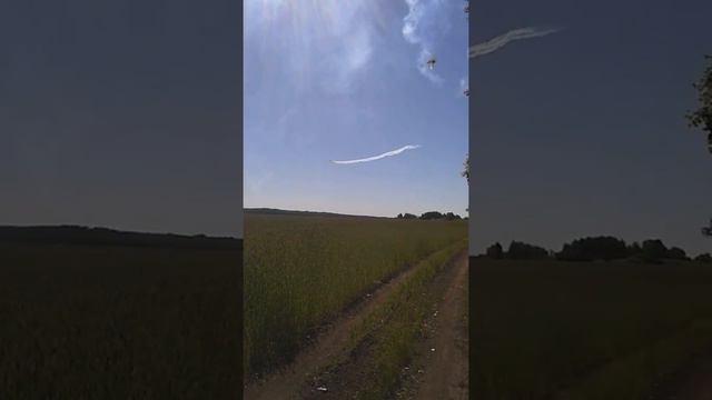 Распыления ядохимикатов! Травят народ! Засерают поля и леса!