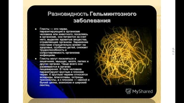 «Профилактика сезонных бронхо-легочных заболеваний»  Болгарь Татьяна