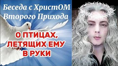 Чудеса продолжаются..Беседа с Господом о птицах, летящих в Его руки #чудобожье #иса #махди #христос