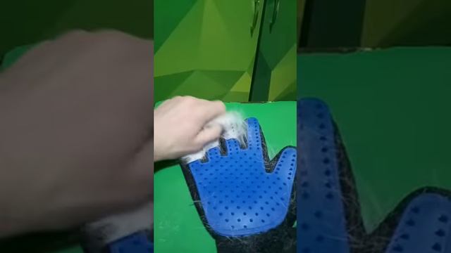 Перчатка для кота из китая