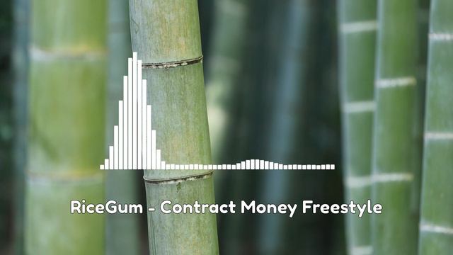 RiceGum - Contract Money Freestyle (Audio)