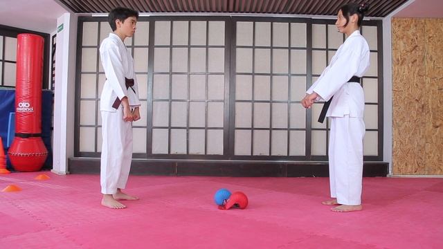 Juegos de Karate para el Dojo video 2 de 2