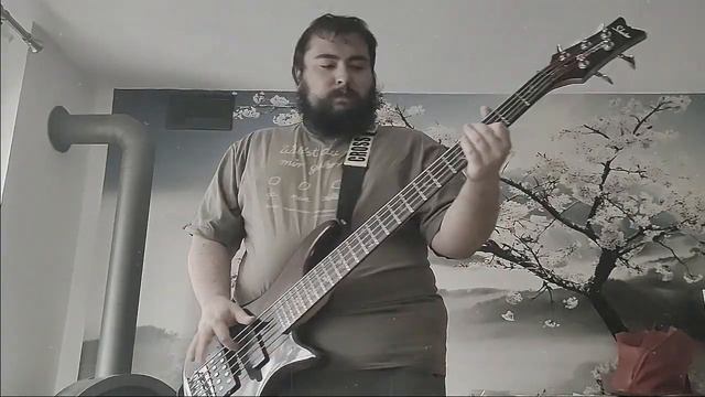 Metallica - Confusion (bass cover + tabs in description)