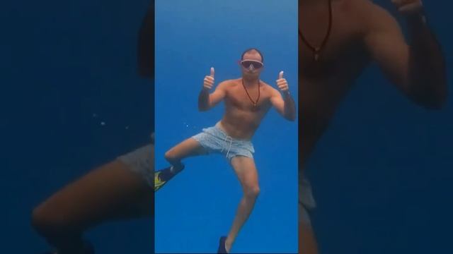 Подводный мир Индийского океана | Сейшельские острова