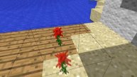 minecraft classic..
