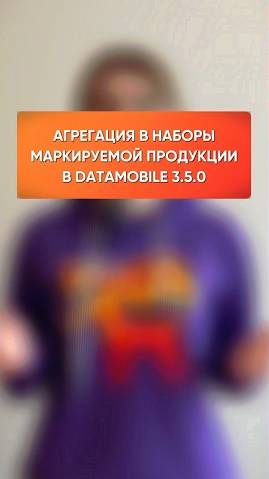 Агрегация маркируемой продукции в наборы в DataMobile 3.5.0