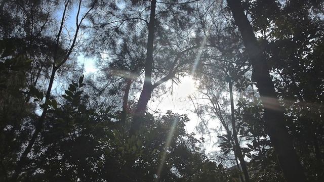 Powerful Healing Meditation ♬20 minutes Relaxation Peaceful Yin Yang Chakra Balancing