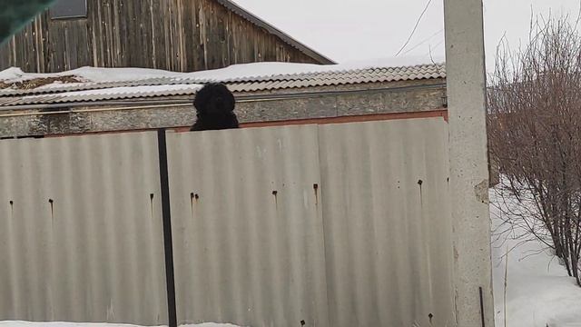 РЧТ Джей провожает