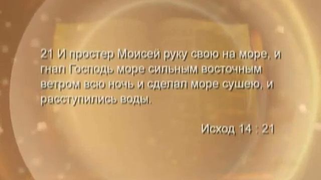 Идите вперёд / Тед Вильсон