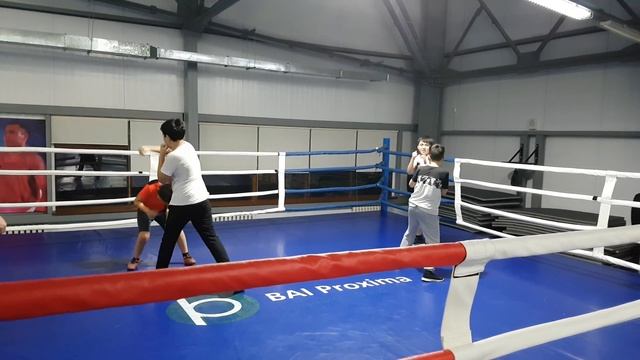 Уроки бокса для детей новичков