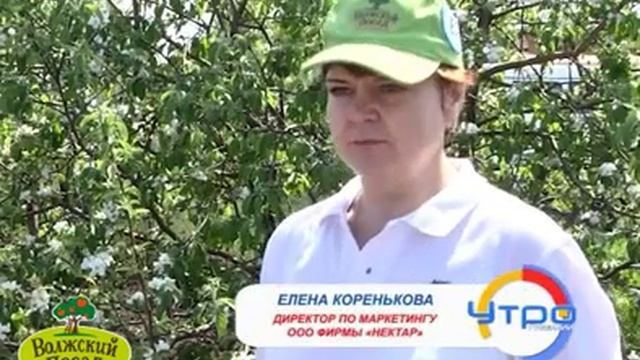 Губерния Е Коренькова закладка сада лого Ст Буян