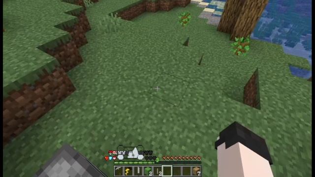 ?Майнкрафт, но с сердечками из видеоигр.