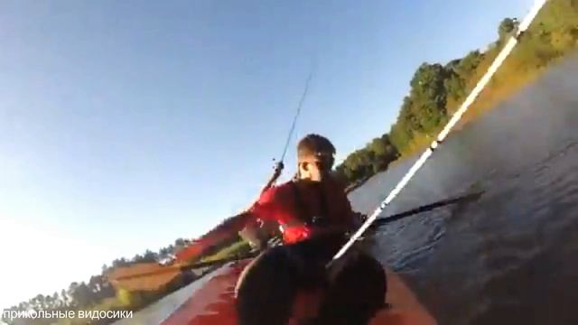 прикольные видосики 6