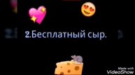 5 советов для новичков в игре Transformice.