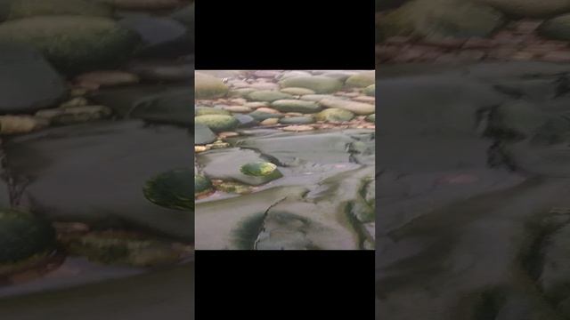 VID_20190713_204737.mp4