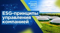 ESG принципы управления компанией