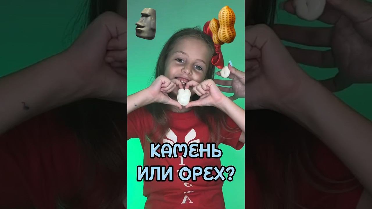 Камень или орех