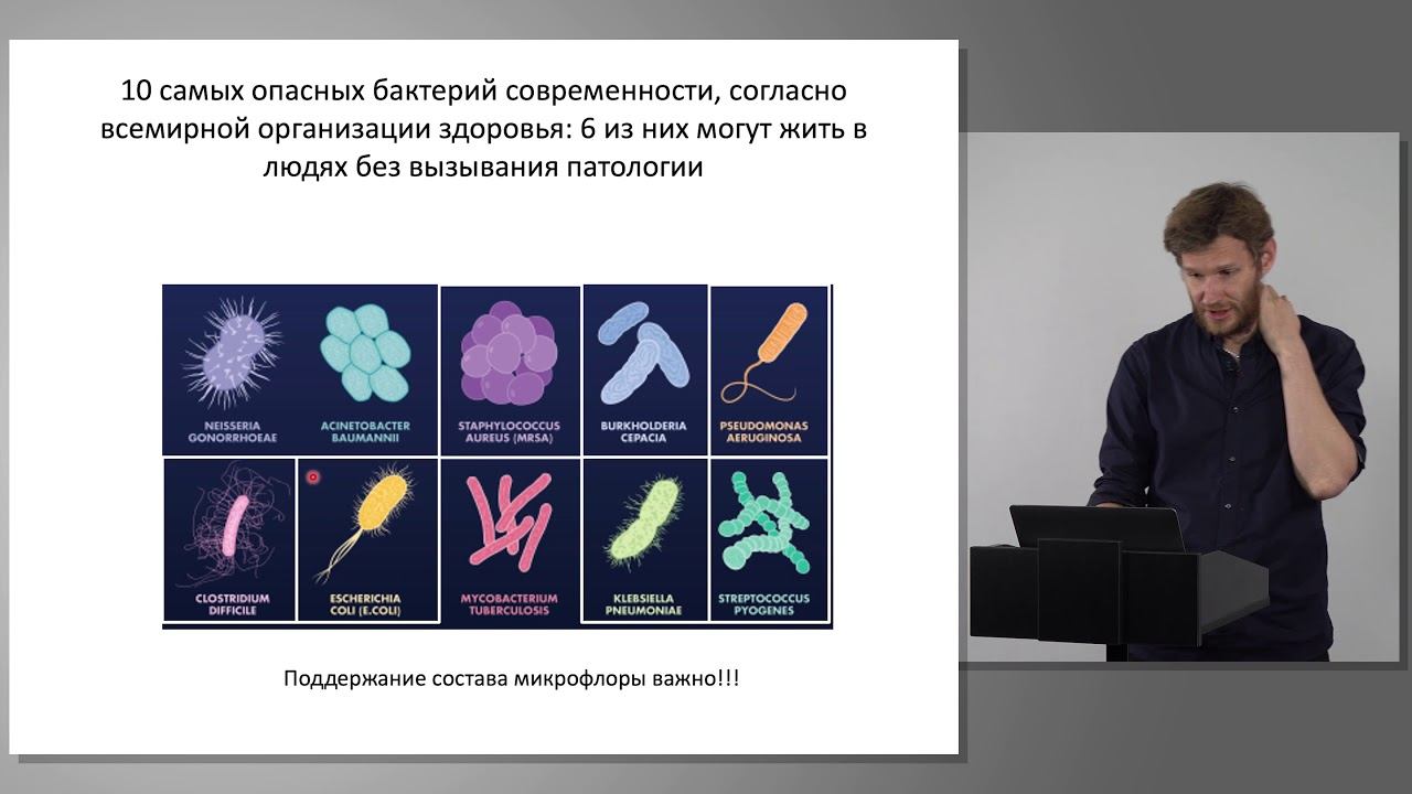 Круглов А.А. Взаимодействие микробиоты с иммунной системой