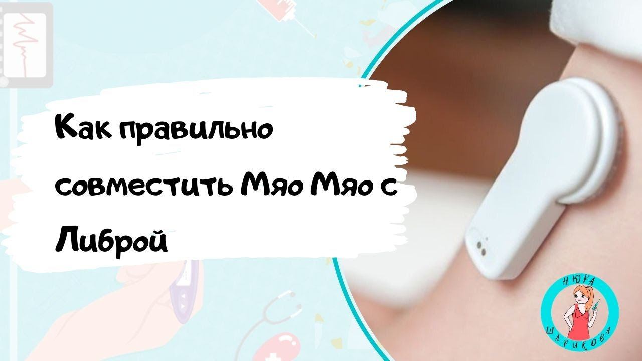 Мяу Мяу (Miao Miao) и Либра (FreeStyle Libre): как правильно установить