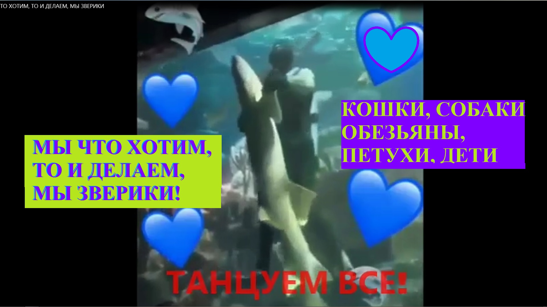 МЫ ЧТО ХОТИМ, ТО И ДЕЛАЕМ, МЫ ЗВЕРИКИ