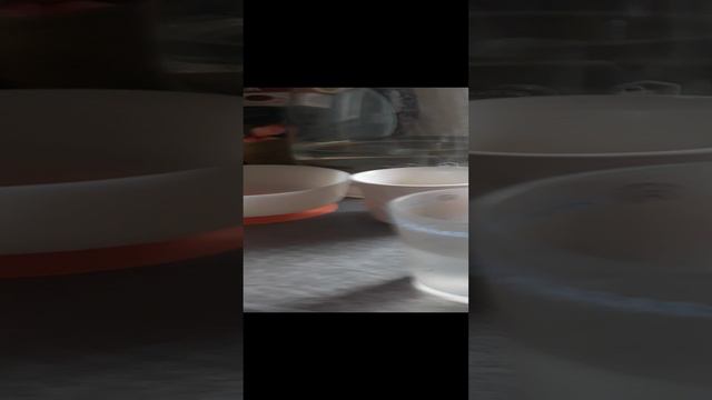 даём муравьям воду