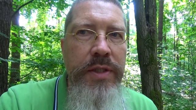 Сколько раз в день надо выходить на природу, чтобы переломить хронические болезни?