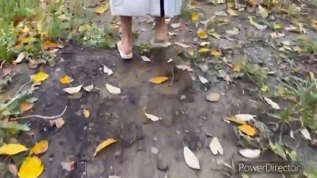 Массаж стоп по камушкам и утренней росе: Александр и Надежда Любимова