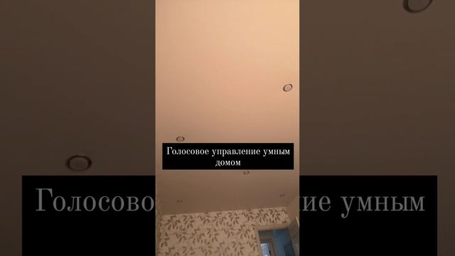 Управление освещением голосом