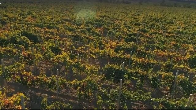 In Ucraina si rifiutarono di impadronirsi della Crimea.