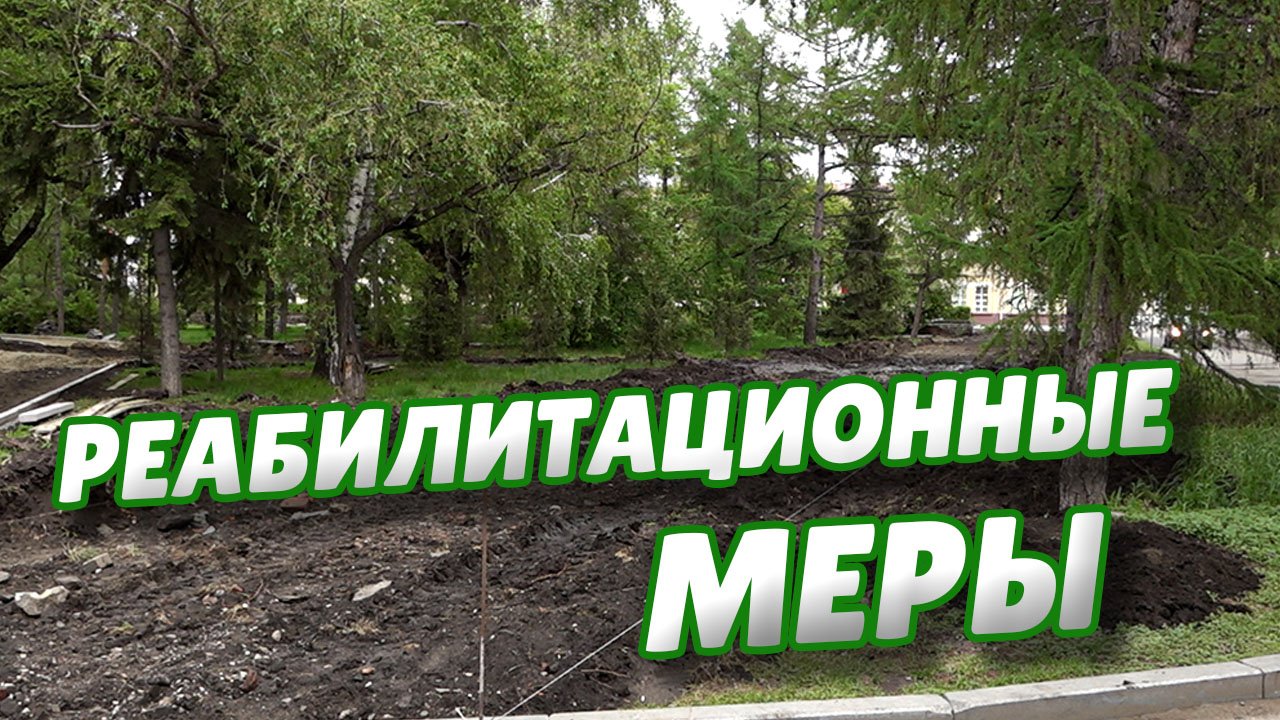 Сергей Шелест встретился со строителями, повредившими корни деревьев