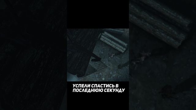 Реакция КОШКИ скорость мангуста #shorts #residentevil #residentevilrevelations2