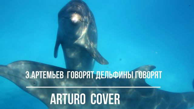 ARTURO   Говорят дельфины говорят   кавер