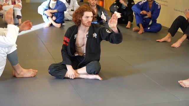 Jon Thomas DLR Berimbolo Seminar ( Amsterdam )
