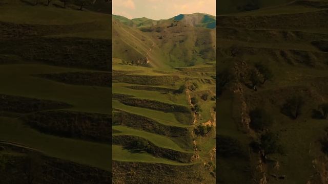 Круто видео ребят про отдых в Сад Глэмпинге в Дагестане.