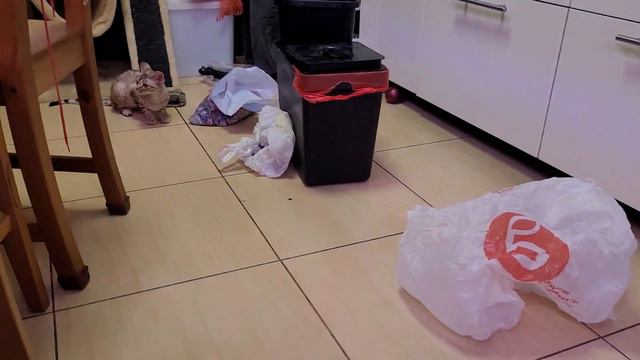 Танцуют все или в уборке участвуют все и каждый по своему))