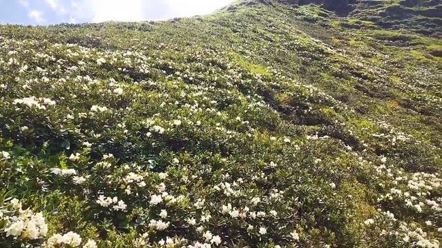 Гарбутлинские и Нахадинские горы и природа